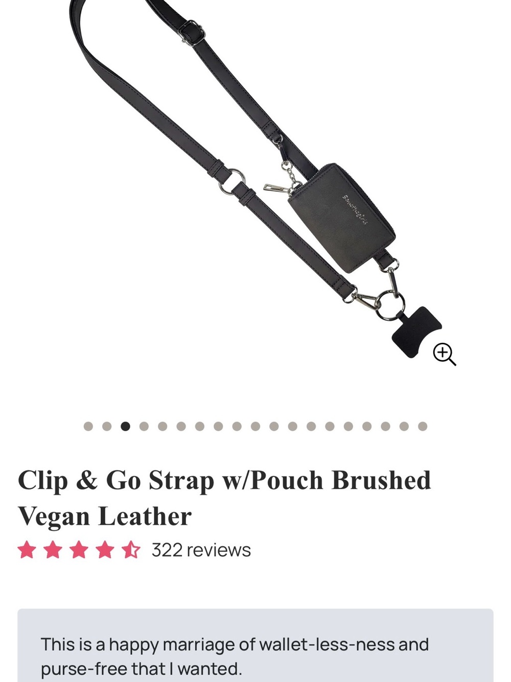 Clip & Go Strap with Pouch in Black